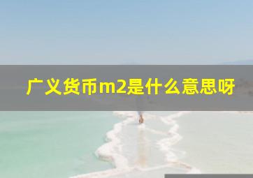 广义货币m2是什么意思呀