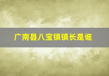 广南县八宝镇镇长是谁