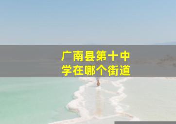 广南县第十中学在哪个街道