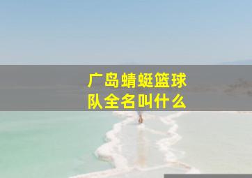 广岛蜻蜓篮球队全名叫什么