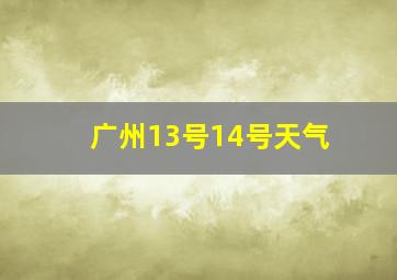 广州13号14号天气