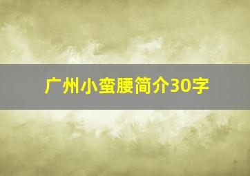 广州小蛮腰简介30字