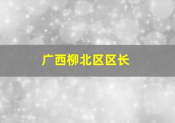 广西柳北区区长