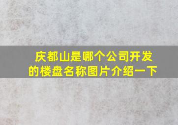 庆都山是哪个公司开发的楼盘名称图片介绍一下