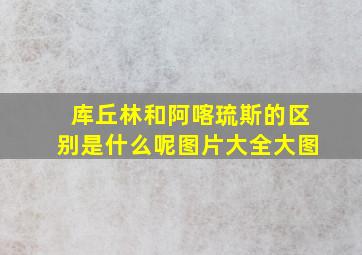 库丘林和阿喀琉斯的区别是什么呢图片大全大图