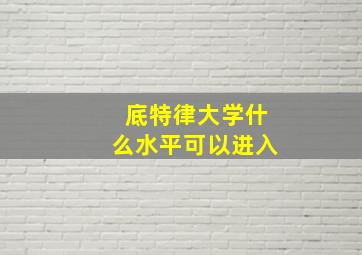 底特律大学什么水平可以进入