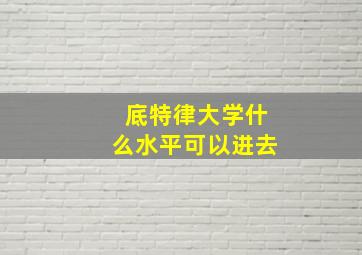 底特律大学什么水平可以进去