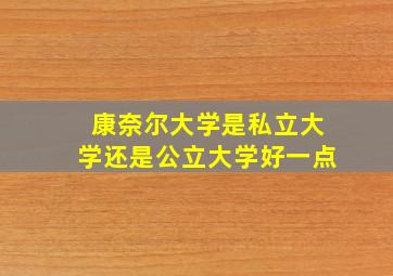 康奈尔大学是私立大学还是公立大学好一点