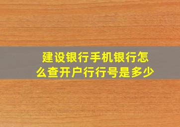 建设银行手机银行怎么查开户行行号是多少