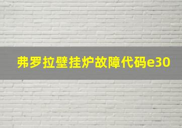 弗罗拉壁挂炉故障代码e30