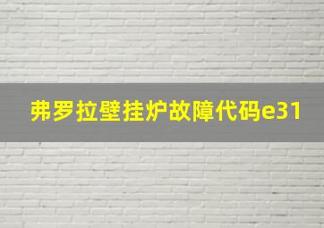 弗罗拉壁挂炉故障代码e31