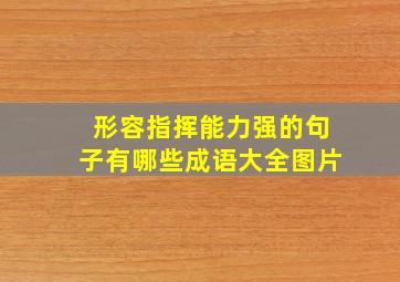 形容指挥能力强的句子有哪些成语大全图片