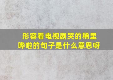 形容看电视剧哭的稀里哗啦的句子是什么意思呀