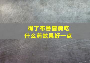 得了布鲁菌病吃什么药效果好一点