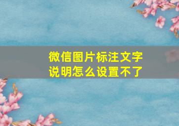 微信图片标注文字说明怎么设置不了