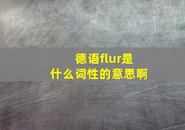 德语flur是什么词性的意思啊