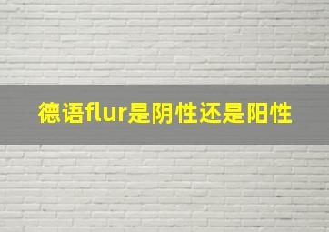 德语flur是阴性还是阳性