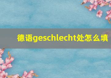 德语geschlecht处怎么填