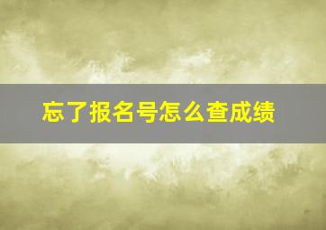 忘了报名号怎么查成绩