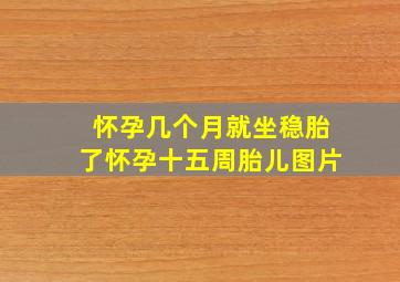 怀孕几个月就坐稳胎了怀孕十五周胎儿图片