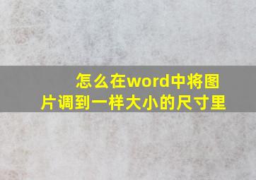 怎么在word中将图片调到一样大小的尺寸里