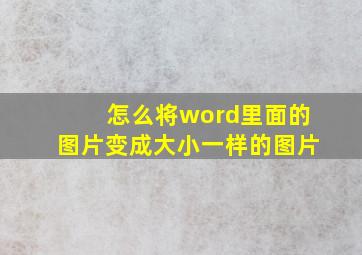 怎么将word里面的图片变成大小一样的图片