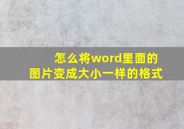 怎么将word里面的图片变成大小一样的格式