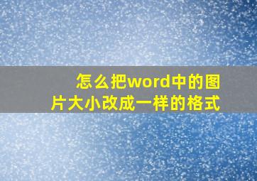 怎么把word中的图片大小改成一样的格式