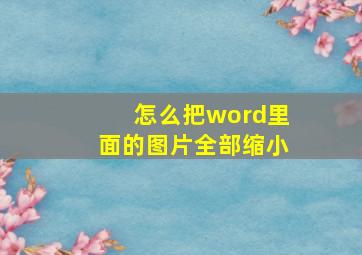 怎么把word里面的图片全部缩小