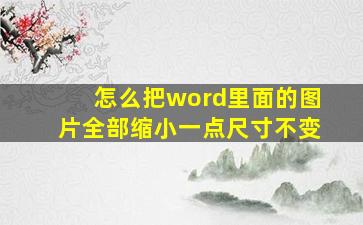 怎么把word里面的图片全部缩小一点尺寸不变