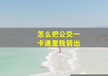 怎么把公交一卡通里钱转出