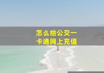 怎么给公交一卡通网上充值