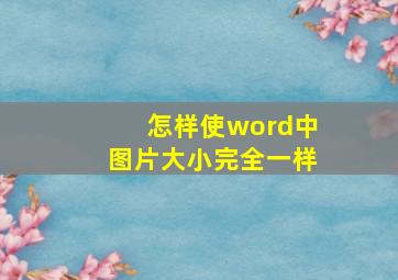 怎样使word中图片大小完全一样