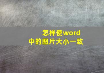 怎样使word中的图片大小一致