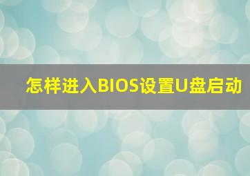 怎样进入BIOS设置U盘启动