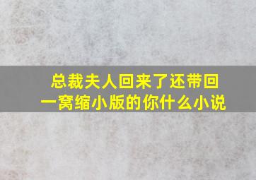 总裁夫人回来了还带回一窝缩小版的你什么小说