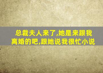 总裁夫人来了,她是来跟我离婚的吧,跟她说我很忙小说