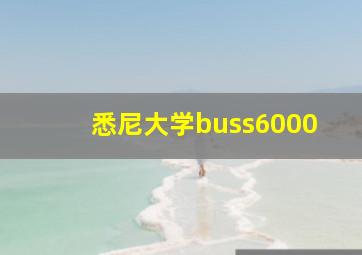 悉尼大学buss6000