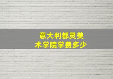 意大利都灵美术学院学费多少