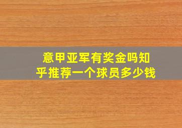 意甲亚军有奖金吗知乎推荐一个球员多少钱