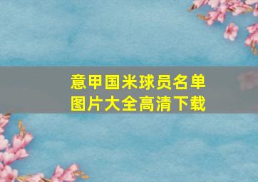 意甲国米球员名单图片大全高清下载