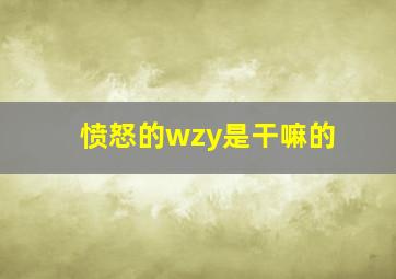 愤怒的wzy是干嘛的