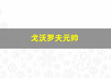 戈沃罗夫元帅