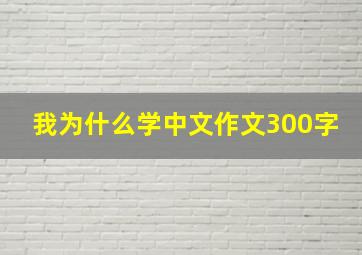 我为什么学中文作文300字