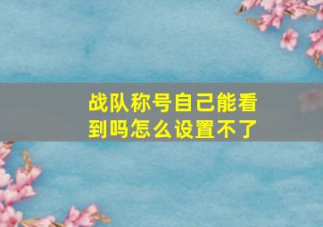 战队称号自己能看到吗怎么设置不了