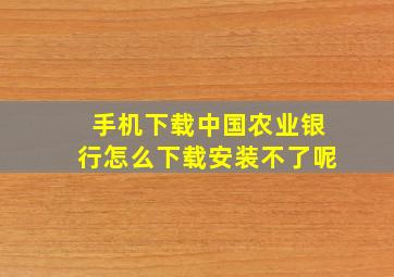 手机下载中国农业银行怎么下载安装不了呢