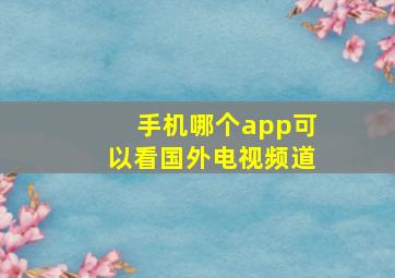 手机哪个app可以看国外电视频道