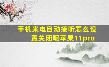 手机来电自动接听怎么设置关闭呢苹果11pro