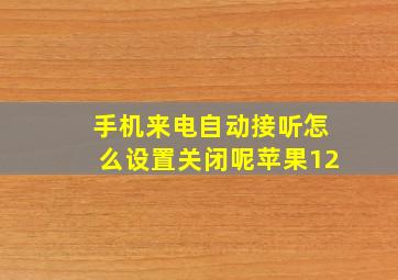 手机来电自动接听怎么设置关闭呢苹果12