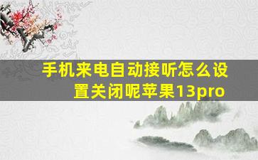 手机来电自动接听怎么设置关闭呢苹果13pro